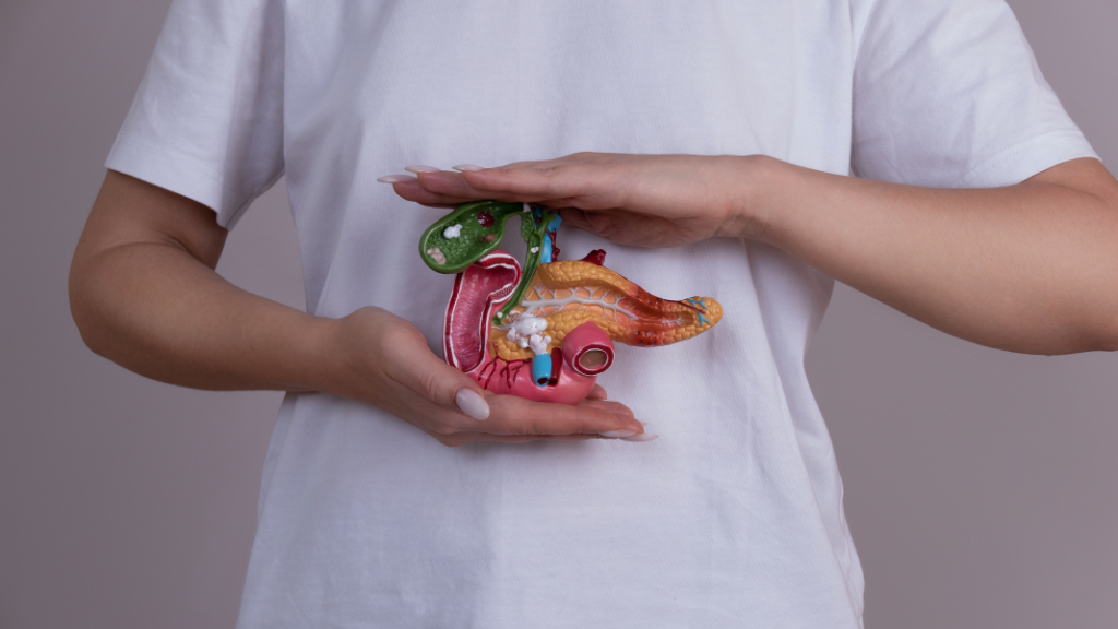 Woman holding pancreas