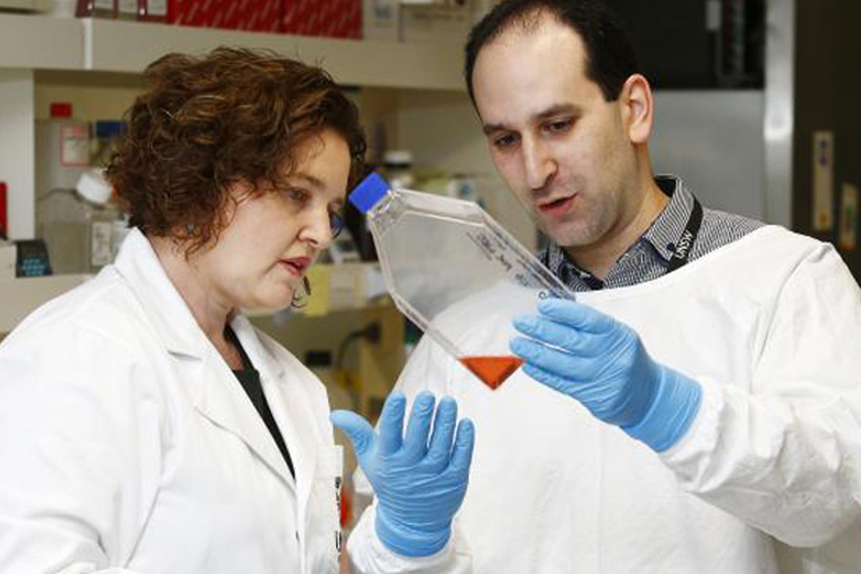 Sharbeen And Phillips Image